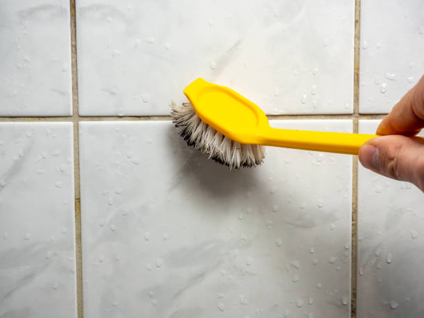 Best Commercial Mold Removal  in Albany, GA