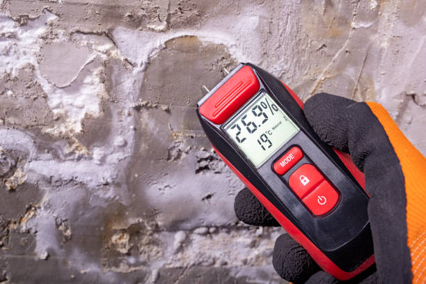 Mold Removal Process in Albany, GA