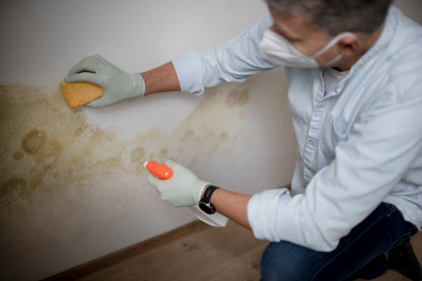 Best Mold Testing  in Albany, GA